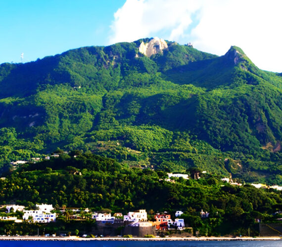 L’eremo del Monte Epomeo L’eremo del Monte Epomeo